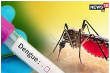 दिल्ली में घट नहीं रहे डेंगू के मामले, इस साल 5 लोगों की मौत, 7 दिन में 250 केस