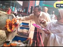 अलीगढ़: दिवाली-छठ पूजा के बाद रूबी आसिफ खान ने मनाई गोपाष्टमी
