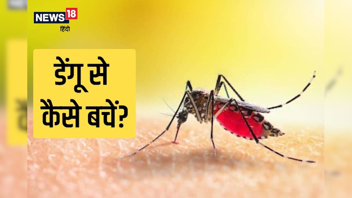 राजस्थान में डेंगू का डंक: 11 हजार 725 पॉजिटिव केस आ चुके हैं सामने जयपुर में मिले सर्वाधिक केस