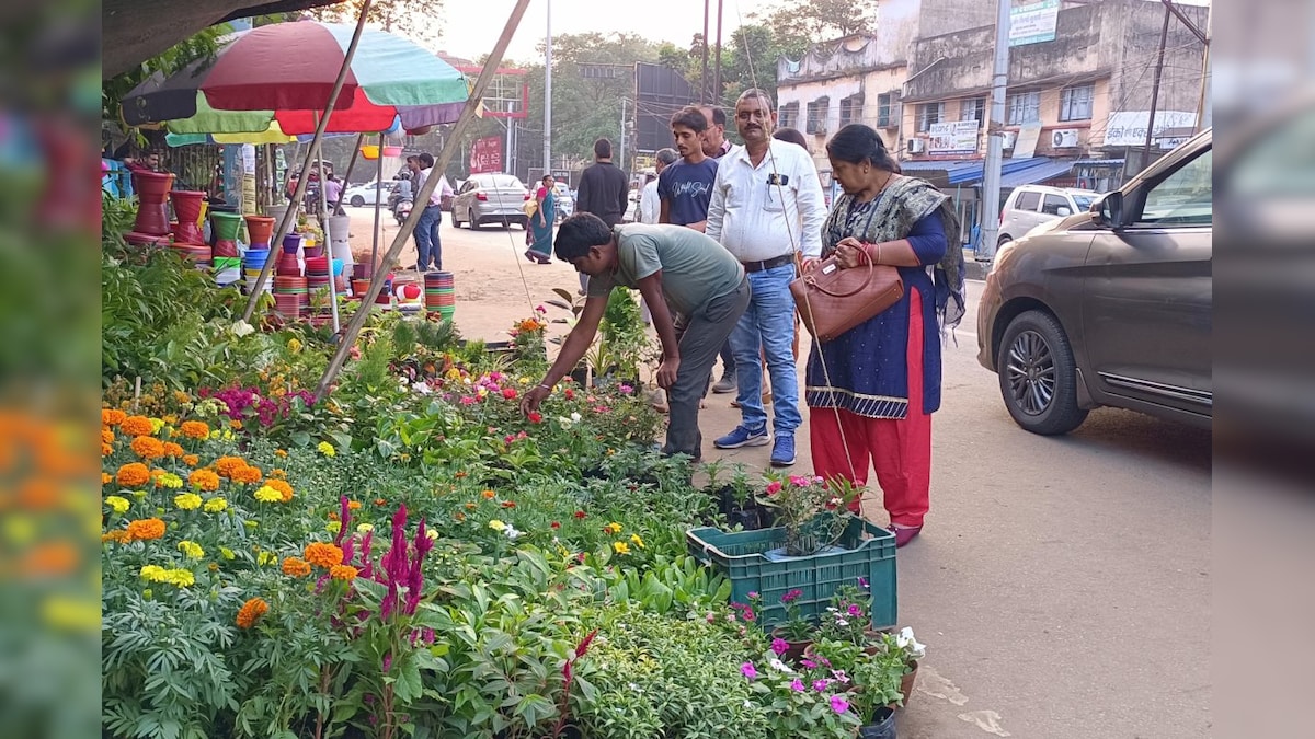Dhanbad: घर में करना चाहते हैं बागवानी तो यहां से खरीदें पौधे रंग-बिरंगे फूलों की 150 वैरायटी मौजूद