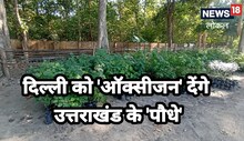 उत्तराखंड से दिल्ली भेजे जाएंगे चौड़ी पत्ती वाले 5000 पौधे, हवा में सुधरेगा ऑक्सीजन लेवल