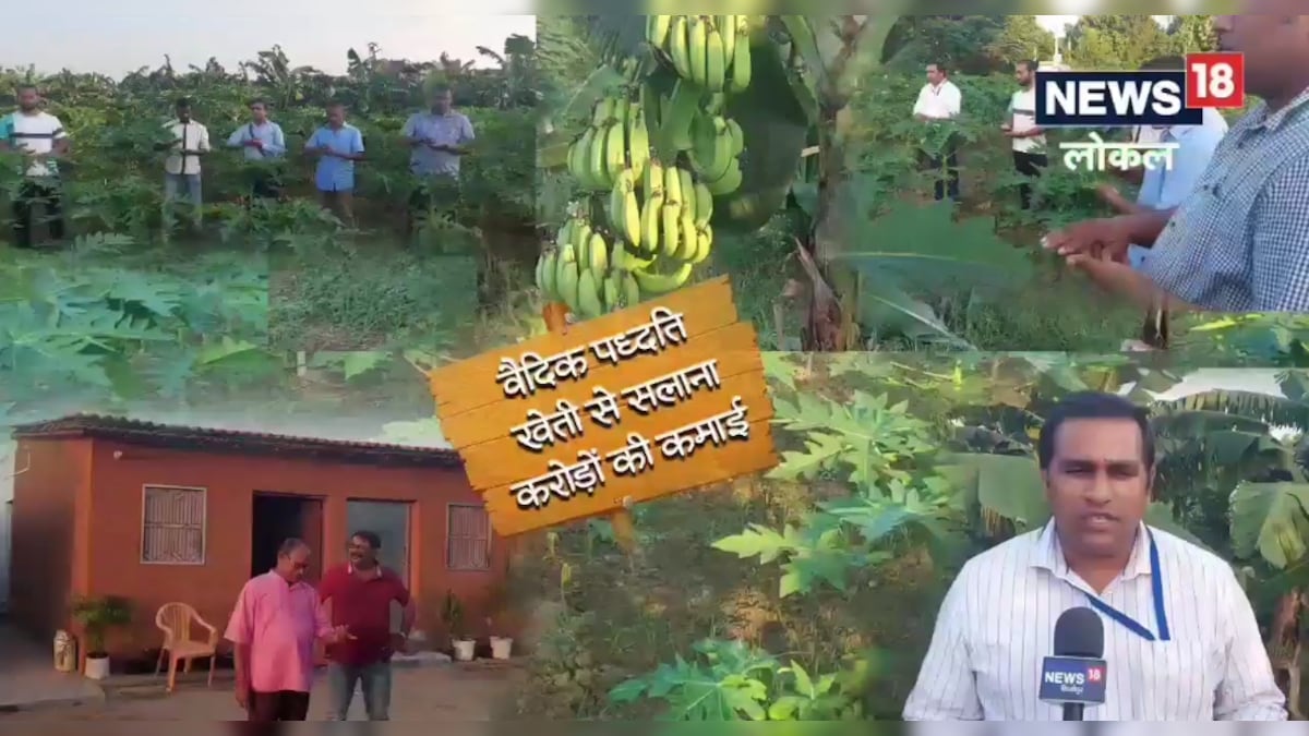 Mirzapur: लाखों का पैकेज छोड़कर खेती से कमा रहे करोड़ों फसल का ध्यान कर सुनाते हैं मंत्र