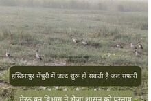 The Hastinapur Century in Meerut will soon see exotic birds on boats, the plan said