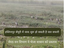 मेरठ के हस्तिनापुर सेंचुरी में जल्द बोट से कर सकेंगे विदेशी परिंदों का दीदार