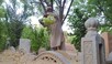 न मुर्दों का डर-न आत्माओं का खौफ, 42 साल से कब्रों के बीच रह रहा ये शख्स