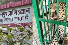 'जग्गू' की खुली हिस्ट्रीशीट, अब कानपुर चिड़ियाघर में काटेगा आजीवन सजा, जानें पूरा माजरा