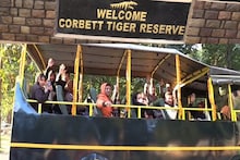 PHOTOS: रामगंगा के किनारे बाघों की चहलकदमी और फॉग के बीच खड़ा टाइगर! खुल गया कॉर्बेट ढिकाला जोन द्वार