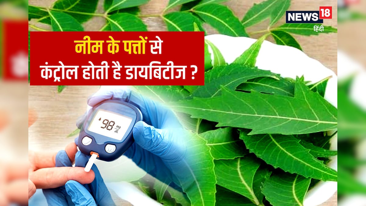 Diabetes And Neem Leaves: नीम की पत्तियां खाने से कंट्रोल हो जाती है डायबिटीज डॉक्टर से जानें