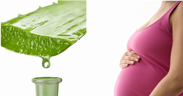 simple aloe vera ALOE VERA 8in main image 0