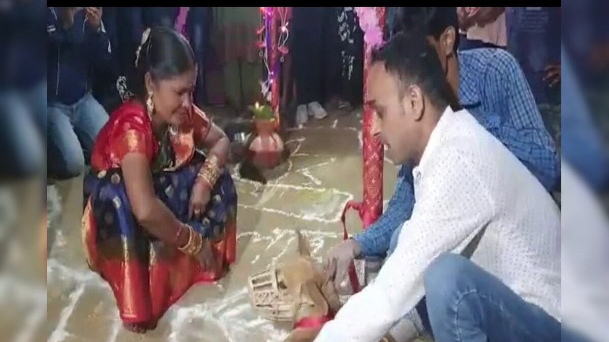 Sheru Weds Sweeti: शेरू-स्वीटी की अनोखी शादी मंडप से गायब दूल्हा तो ढूंढकर लाया पूरा मोहल्ला