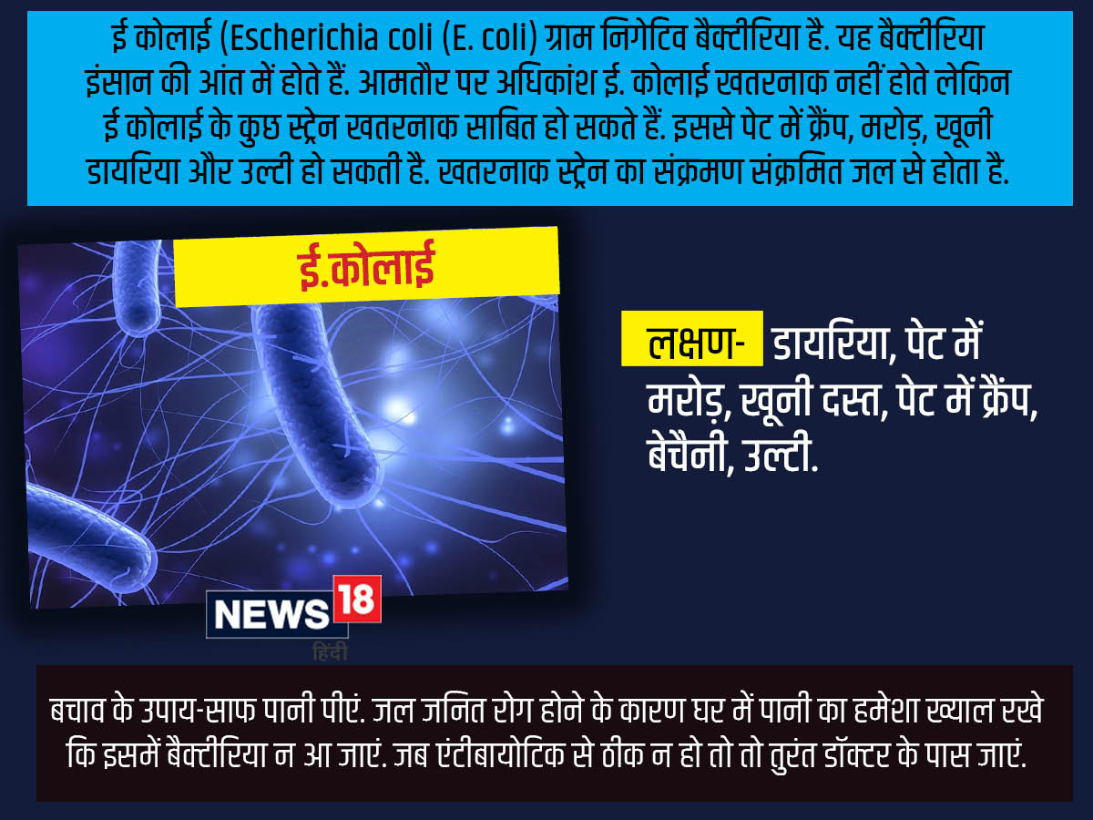 5 bacteria types claimed 6.8 lakh lives in India in 2019, most deadly bacteria in world,ये 5 बैक्टीरिया भारत में ले रहे हैं सबसे अधिक जान, आंकड़ों से सामने आई खौफनाक सच्चाई - these five bacteria e coli s pneumoniae k pneumoniae s aureus and a baumanii are responsible for major deaths in india, dangerous bacteria, bacteria e coli