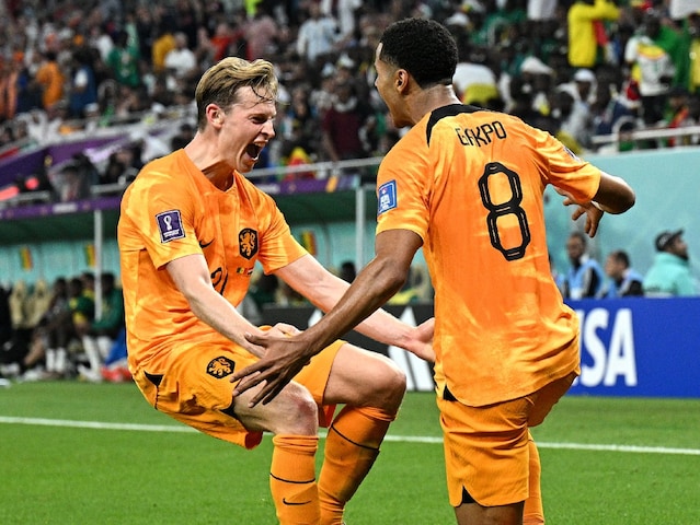 FIFA World Cup: Netherlands sweat in defeating Senegal FIFA World Cup: Netherlands sweat in defeating Senegal