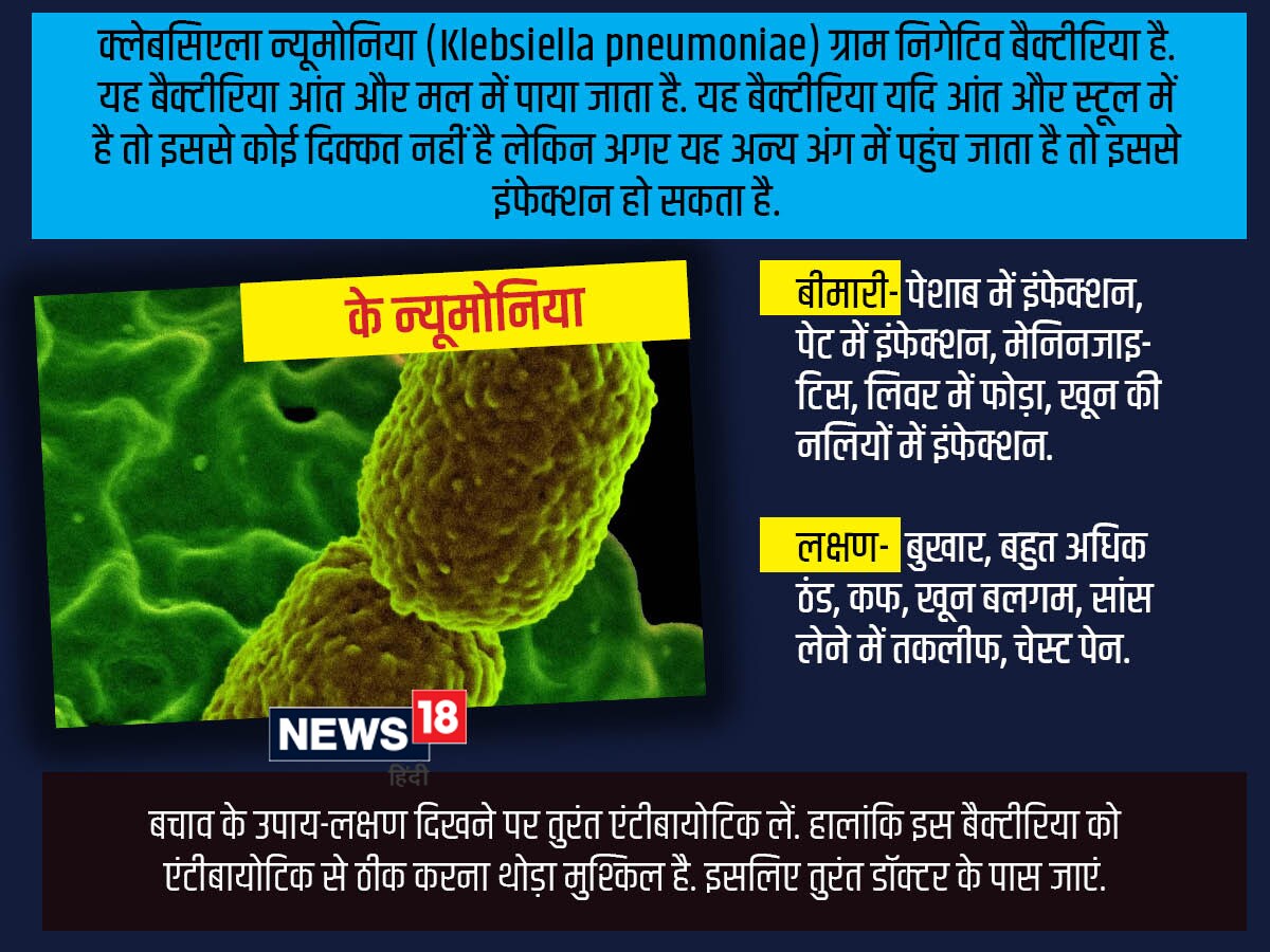 5 bacteria types claimed 6.8 lakh lives in India in 2019, most deadly bacteria in world,ये 5 बैक्टीरिया भारत में ले रहे हैं सबसे अधिक जान, आंकड़ों से सामने आई खौफनाक सच्चाई - these five bacteria e coli s pneumoniae k pneumoniae s aureus and a baumanii are responsible for major deaths in india, dangerous bacteria, bacteria e coli