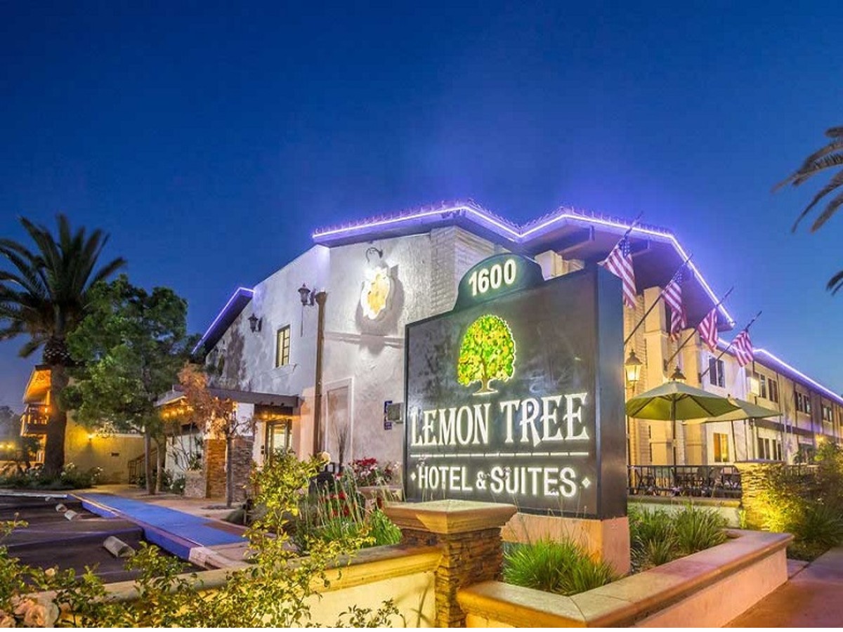  लेमन ट्री होटल्स (Lemon Tree Hotels) : फिलहाल यह मिड कैप स्‍टॉक 91 रुपये पर कारोबार कर रहा है. स्टॉक ने पिछले 1 साल में 59 फीसदी रिटर्न दिया है. मोतीलाल ओसवाल ने लेमन ट्री होटल्‍स को बाय रेटिंग देते हुए इसका टार्गेट प्राइस 110 रुपये घोषित किया है.