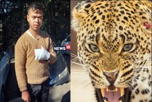 Leopard Attack: शिमला के जाखू में युवक पर तेंदुए का हमला, होटल से घर लौट रहा था विजय