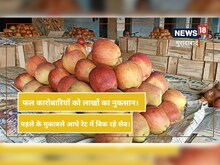 मुरादाबाद के थोक फल कारोबारियों को हुआ लाखों का नुकसान, जानिए क्यों गिरा रेट