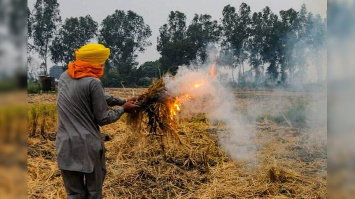 केंद्र सरकार कर दे समाधान तो पराली नहीं जलाएंगे किसान बोले पंजाब के सीएम