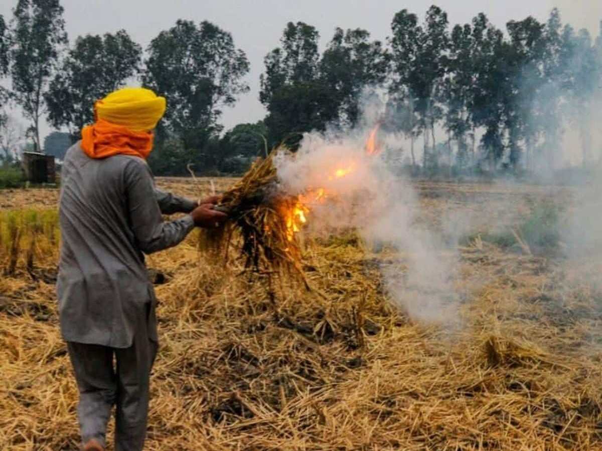 सर्दियां आते ही बढ़ने लगीं पराली जलाने की घटनाएं. 
