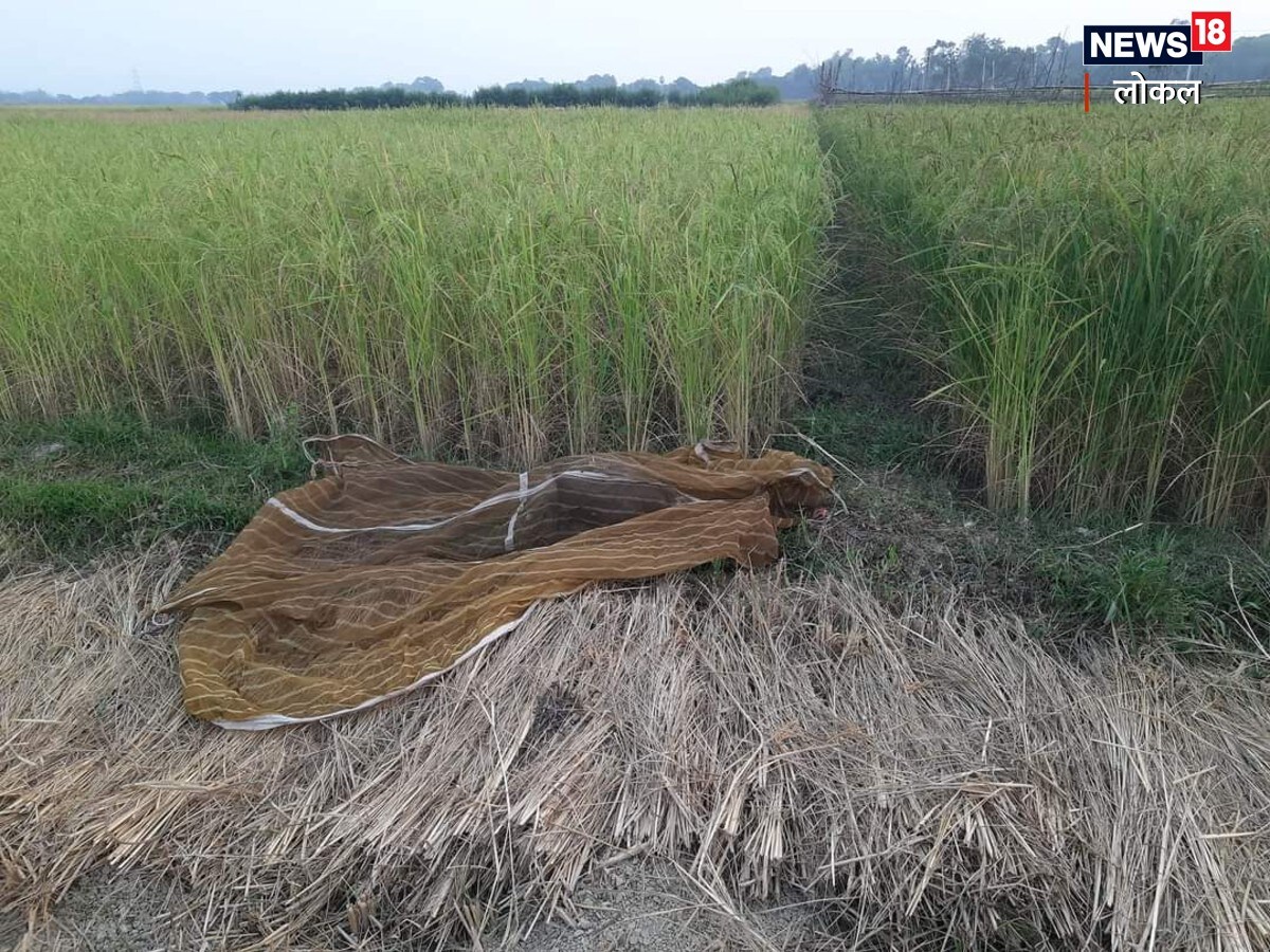 Trick of enemy country, enemy country tried to spy, tried to spy through vulture, vulture has camera on its neck, suspected vulture, vulture fell unconscious, Darbhanga news, Bihar news, Bihar latest news, Hindi news , News18 Local, दुश्मन देश की चाल, दुश्मन देश ने की जासूसी की कोशिश, गिद्ध के जरिए जासूसी करने की कोशिश, गिद्ध की गर्दन पर लगा है कैमरा, संदिग्ध गिद्ध, अचेत होकर गिरा गिद्ध, दरभंगा समाचार, बिहार समाचार, बिहार की ताजा खबरें, हिंदी समाचार, न्यूज18 लोकल, OMG News, OMG, ajab ajab news, Ajab Gajab news, Ajab Bhi Ghazab Bhi, Ajab Gajab, ओएमजी न्यूज, ओएमजी, अजब अजब न्यूज, अजब गजब न्यूज, अजब भी गजब भी, अजब गजब