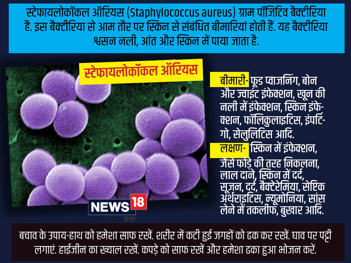 5 bacteria types claimed 6.8 lakh lives in India in 2019, most deadly bacteria in world,ये 5 बैक्टीरिया भारत में ले रहे हैं सबसे अधिक जान, आंकड़ों से सामने आई खौफनाक सच्चाई - these five bacteria e coli s pneumoniae k pneumoniae s aureus and a baumanii are responsible for major deaths in india, dangerous bacteria, bacteria e coli