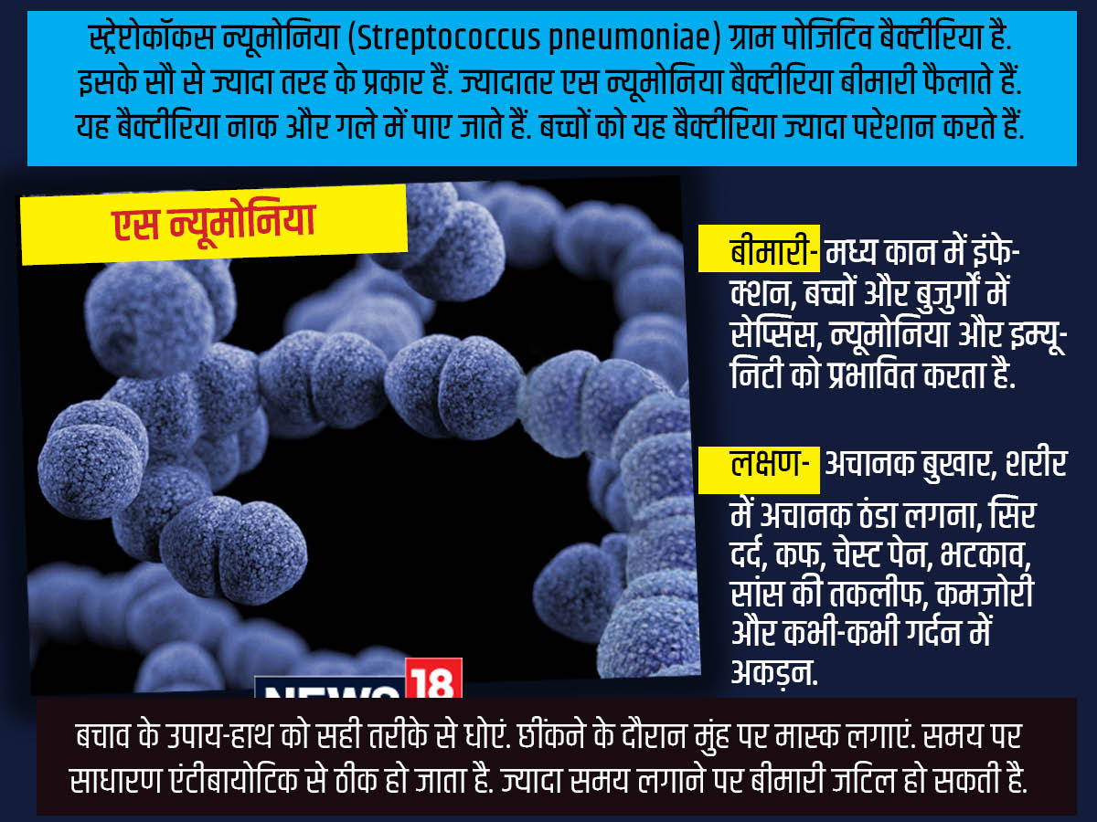 5 bacteria types claimed 6.8 lakh lives in India in 2019, most deadly bacteria in world,ये 5 बैक्टीरिया भारत में ले रहे हैं सबसे अधिक जान, आंकड़ों से सामने आई खौफनाक सच्चाई - these five bacteria e coli s pneumoniae k pneumoniae s aureus and a baumanii are responsible for major deaths in india, dangerous bacteria, bacteria e coli