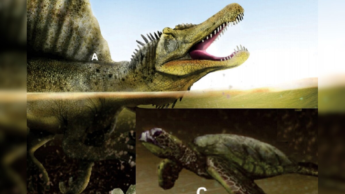 Dinosaur Species: च‍िली में खोज न‍िकाली लाखों साल पहले रहने वाले डायनासोर की चार प्रजात‍ियां, शोधकर्ताओं ने क‍िया ये बड़ा दावा