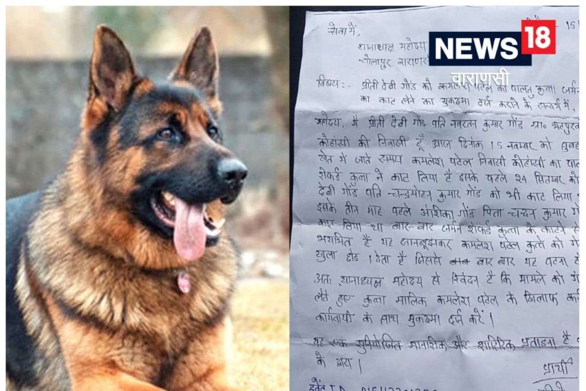 About german store shepherd in hindi