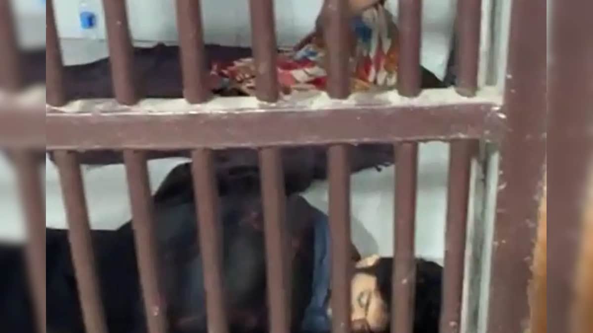 श्रद्धा मर्डर केस: दिल्‍ली की जेल में आरोपी आफताब अमीन पूनावाला पर 24 घंटे निगरानी