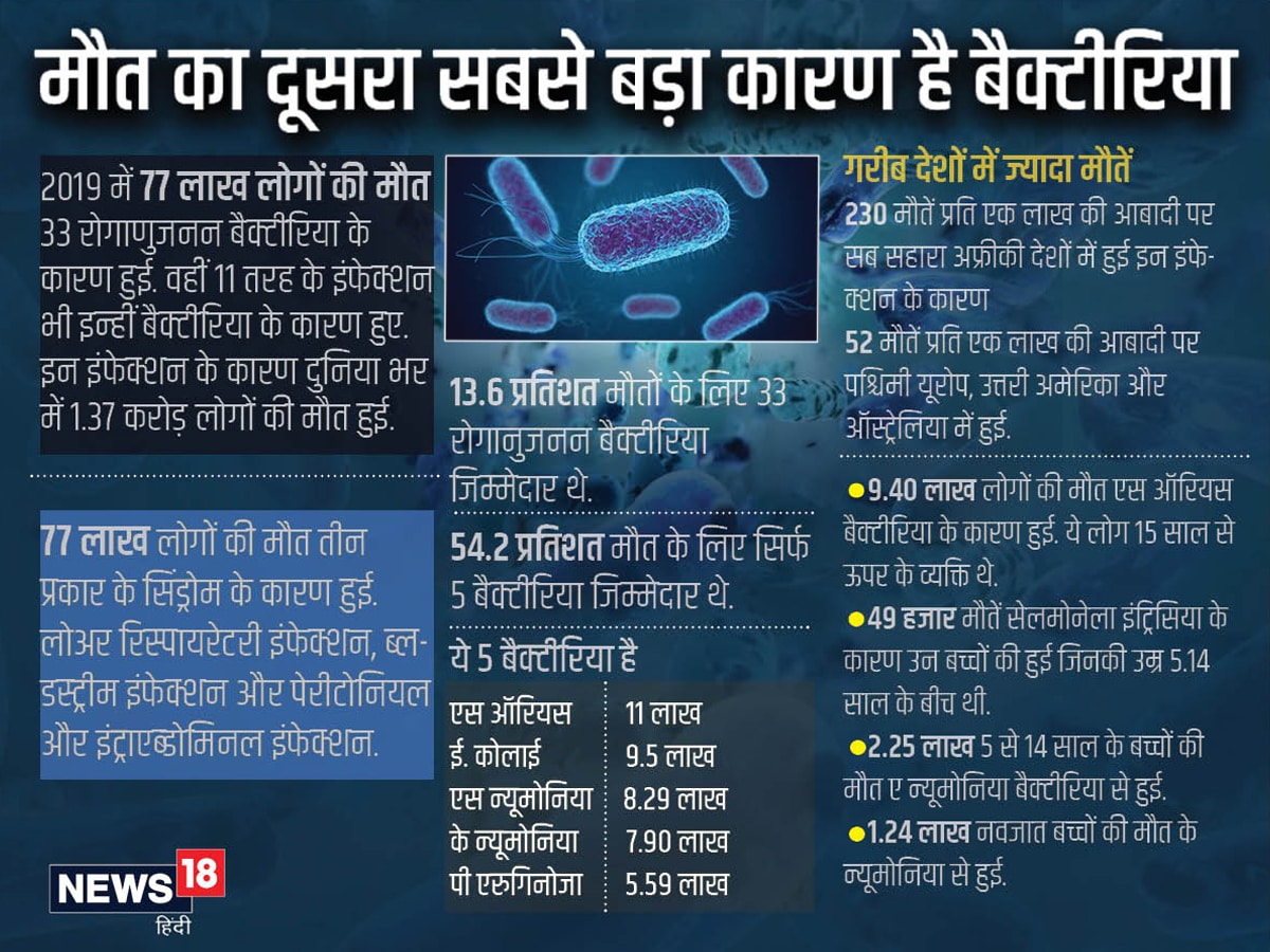 "5 bacteria types claimed 6.8 lakh lives in India in 2019, most deadly bacteria in world,ये 5 बैक्टीरिया भारत में ले रहे हैं सबसे अधिक जान, आंकड़ों से सामने आई खौफनाक सच्चाई - these five bacteria e coli s pneumoniae k pneumoniae s aureus and a baumanii are responsible for major deaths in india, dangerous bacteria, bacteria e coli