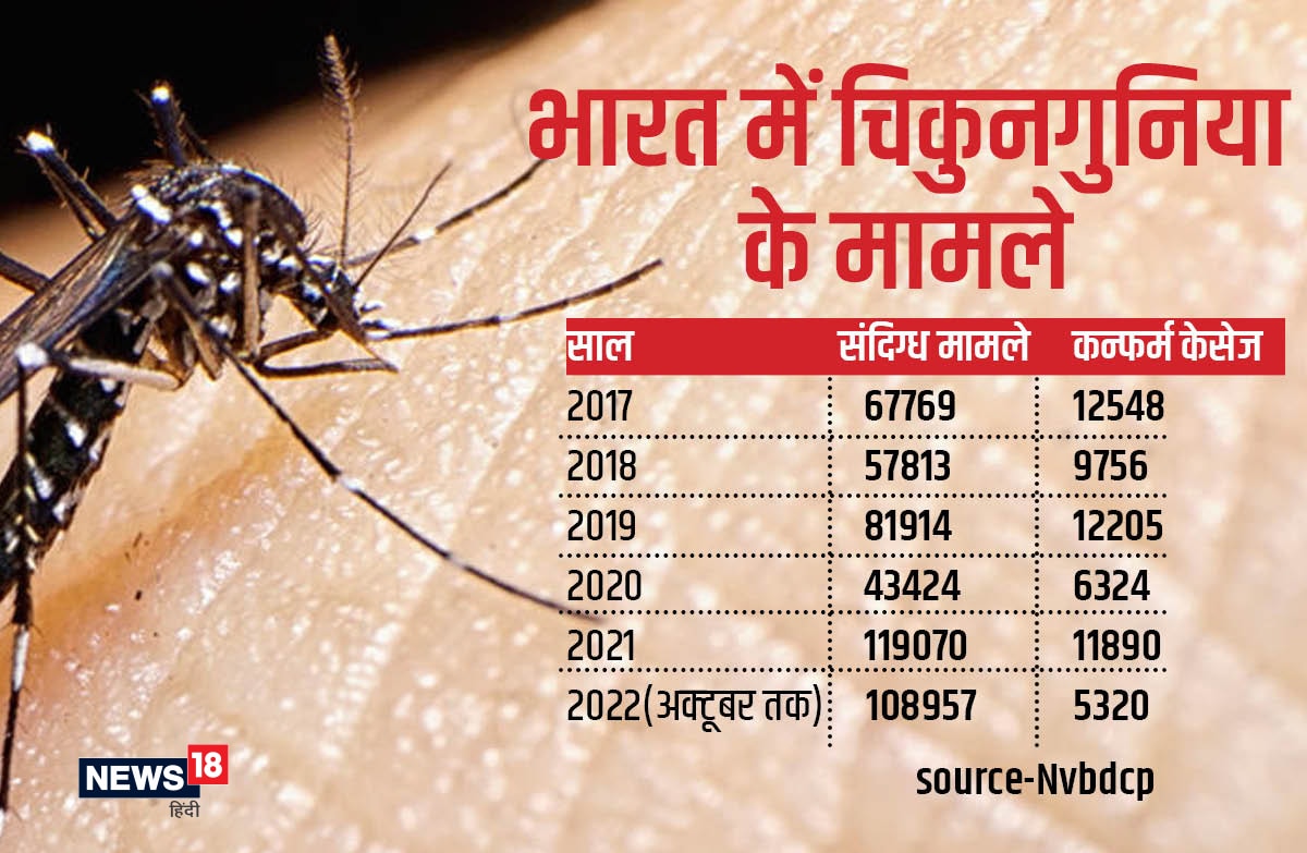 चिकुनगुनिया.