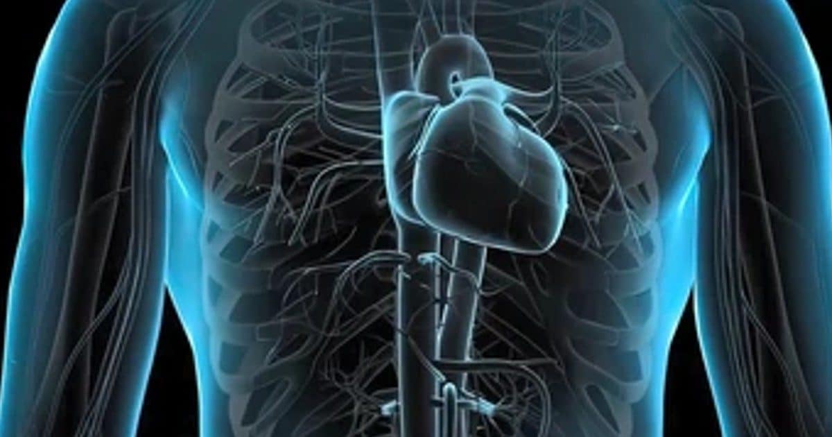 Amazing AI!  Just an X-Ray will tell whether there will be a heart attack and stroke in the next 10 years or not.