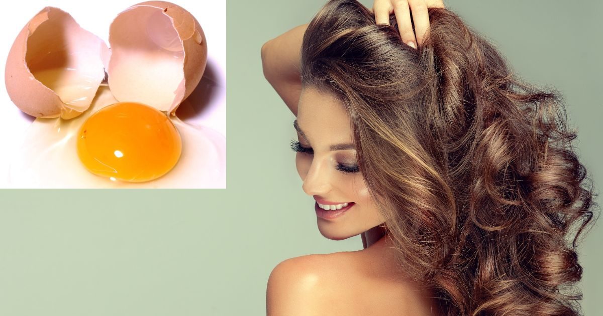 Trending news: Use eggs in these 5 ways in hair care, hair will remain healthy and dandruff free even in winter – these 5 egg hair masks will remove dandruff from hair Trending news: Use eggs in these 5 ways in hair care, hair will remain healthy and dandruff free even in winter – these 5 egg hair masks will remove dandruff from hair