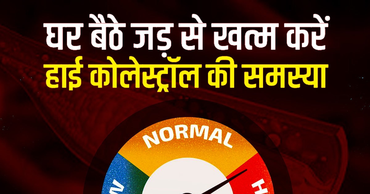 High Cholesterol को जड़ से खत्म करने के लिए किचन में रखी इन 2 चीजों का