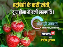 Bhojpuri में पढ़ें- स्ट्रॉबेरी के करीं खेती, दू महीना में बनीं लखपति!