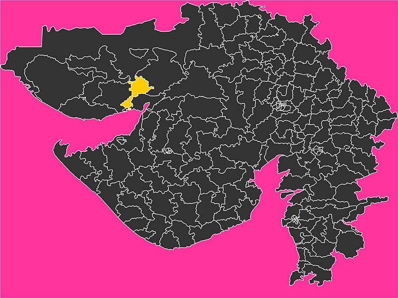 Gandhidham Election Result 2022 Gandhidham Assembly Seat LIVE Results News18