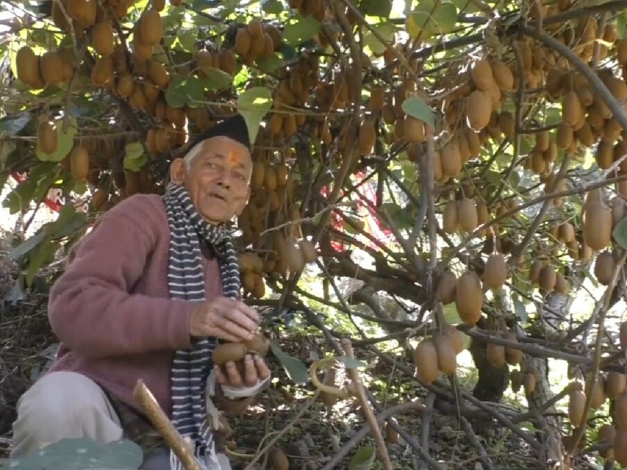 उत्तराखंड के पहाड़ों में 'कीवी मैन' ने लिखी कामयाबी की नई इबारत, पढ़ें किसान सगत सिंह की कहानी - kiwi man farmer sagat singhs spirit wrote success story brvj – News18 हिंदी