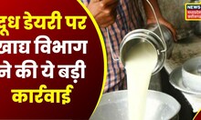 Morena Raid  News : मिलावटी दूध की डेयरी पर Food Department  ने मारा Raid । MP News