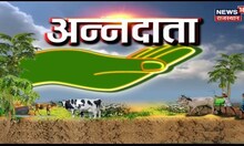 Annadata | गौ पालन करके किसान कमा सकतें है भरपुर लाभ, जानिए गायों की कौन सी प्रजाति लाभप्रद