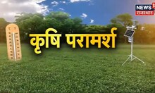 Annadata | मौसम के पूर्वानुमान के अनुसार कैसा रहेगा इस सप्ताह मौसम, देखिए सप्ताहिक कृषि सलाह