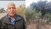 मिसाल: भरतपुर के 'ट्री मैन' हैं बच्चू सिंह वर्मा, लगा दिए 65 हजार पेड़-पौधे