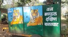 बालाघाट: पिंजरे में नहीं फंसा है अब तक बाघ, कैमरे में नहीं दिखा कोई मूवमेंट, डरे-सहमे हैं ग्रामीण