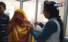 चूरू: 68 दिनों में 884 लोगों को काटा आवारा कुत्तों ने, राजकीय भरतिया अस्पताल के आंकड़ों से खुला राज