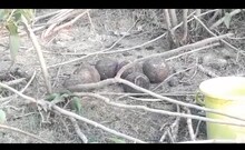कानपुर में रहस्यमई वस्तु मिलने से सोशल मीडिया पर लोगों ने लगाए ठहाके, जानें वजह 