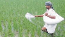 urea crisis: 60 हजार मीट्रिक टन की जगह मात्र मिला सिर्फ इतना ही