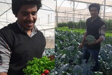 UDAIPUR: 24 साल का युवक कर रहा विदेशी सब्जियों की खेती, कमाई जान रह जाएंगे हैरान