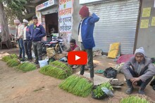 Onion crop: एक किलो में 50 किलो की पैदावार देता है एमपी का यह स्‍पेशल प्‍याज, इतना मिलता है बाजार में दाम