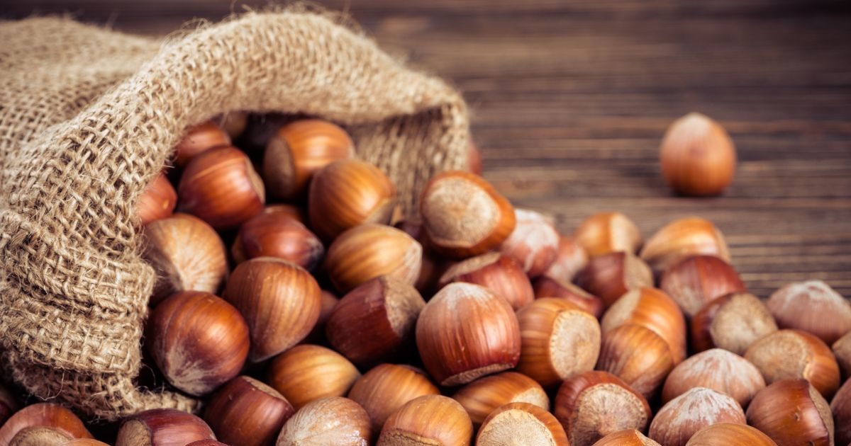 हेजलनट खाने से हो सकते हैं आपको कौन से 5 बेनेफिट्स, जानिए know in