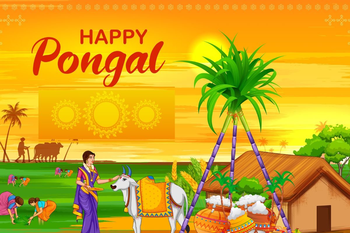 Bhogi Pongal 2023: कब और कैसे मनाया जाता है ...
