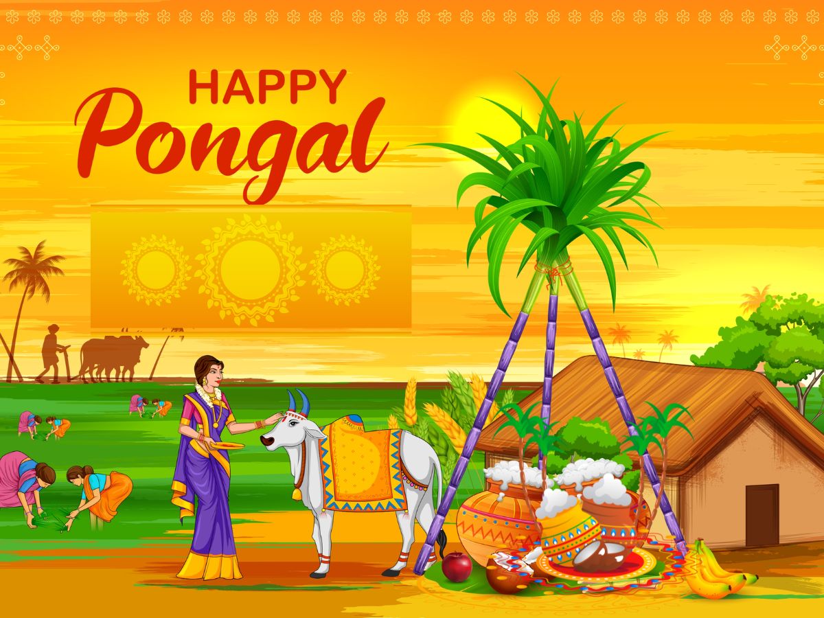 Bhogi Pongal 2023: कब और कैसे मनाया जाता है ...