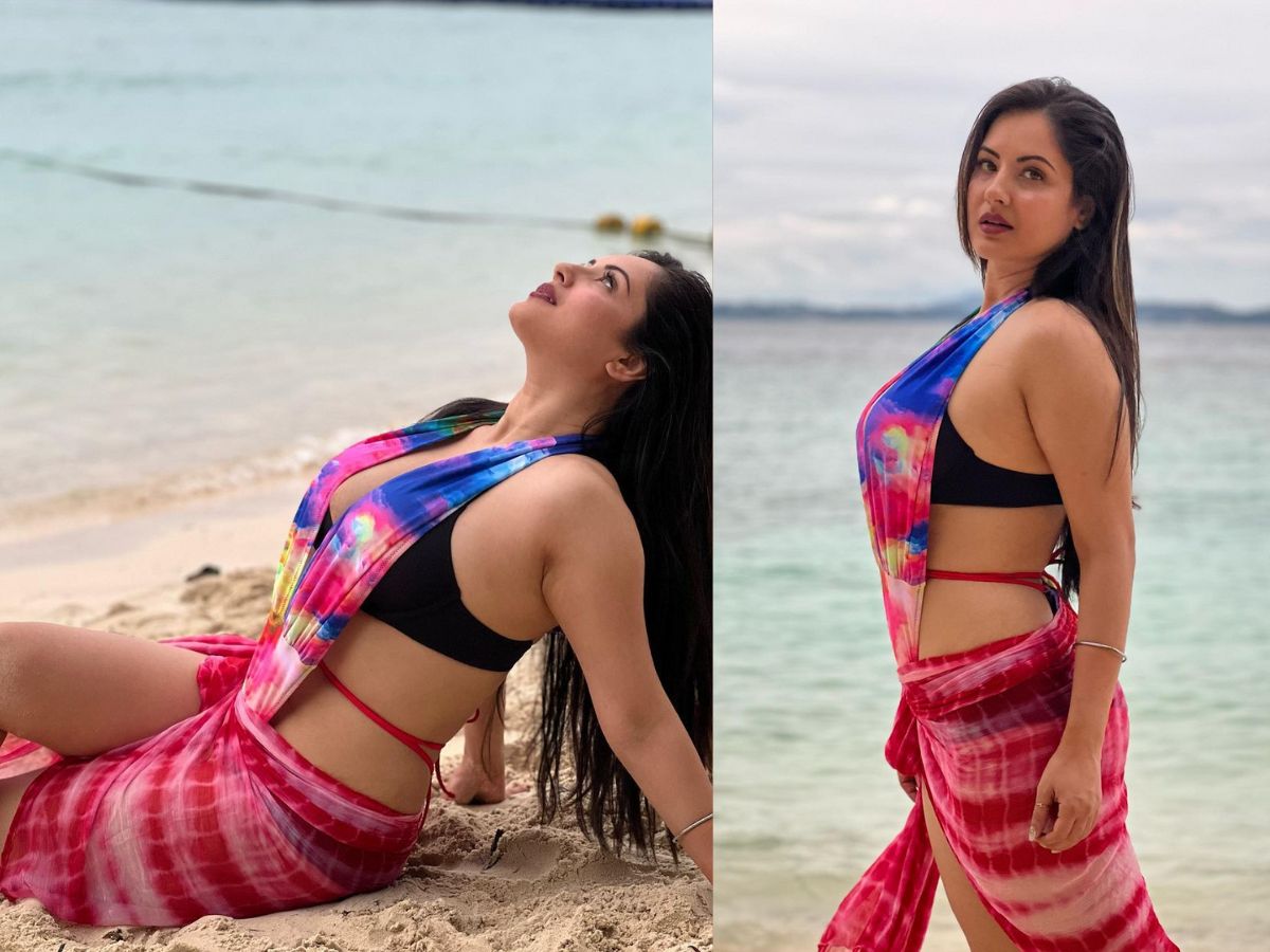 Bollywood Bhojpuri actress who debut in bhojpuri in 2022 tv actress Puja banerjee to south actress meghasree bye bye 2022 Bollywood Bhojpuri actress who debut in bhojpuri in 2022 tv actress Puja banerjee to south actress meghasree bye bye 2022